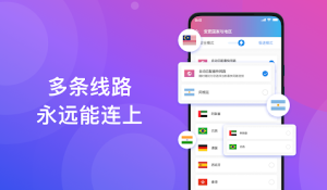 快连VPN官网是真的吗？深度揭秘其安全性与替代方案
